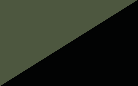 Vert armée/Noir